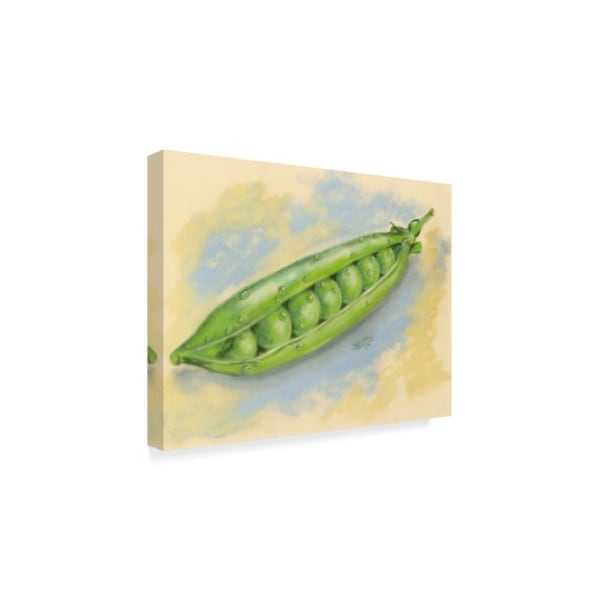 Barbara Keith 'Sugar Snap Peas' Canvas Art,18x24